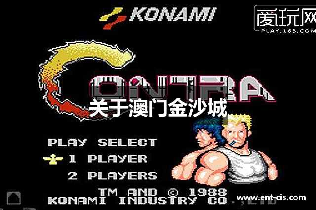 针织牛仔布厂家